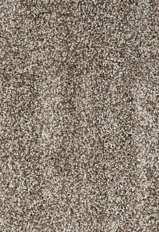 81519 - Image 2