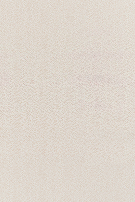 84465 - Image 3